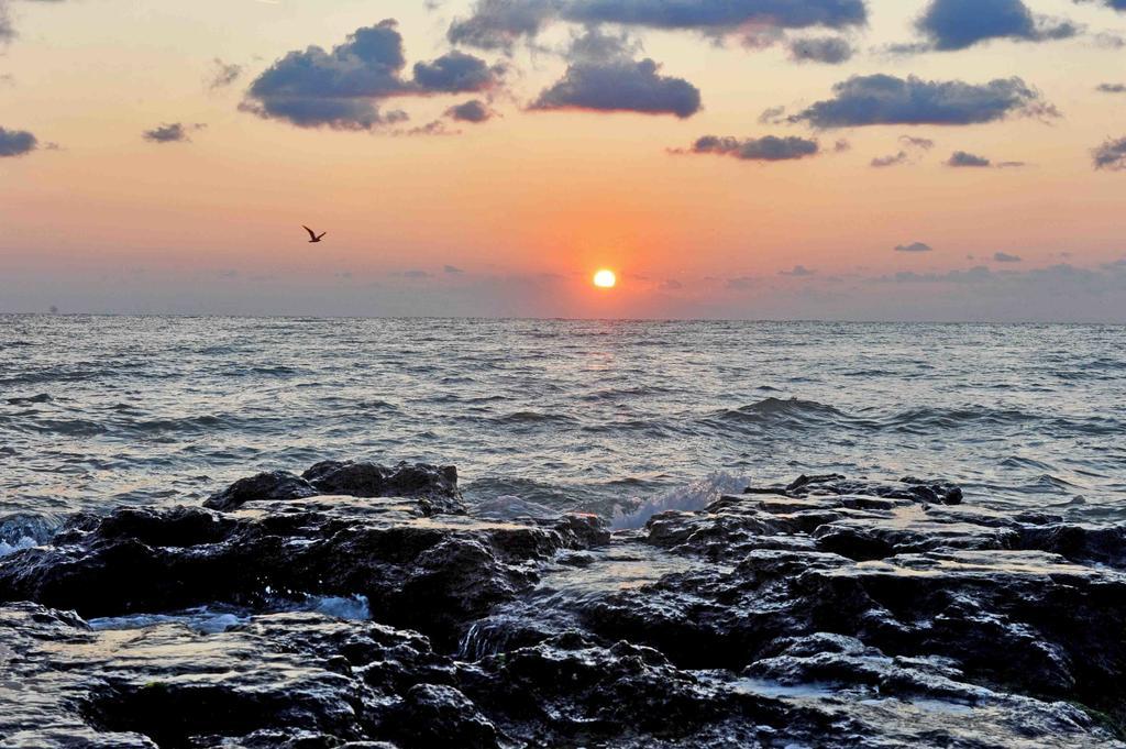 Belle Sea View 公寓